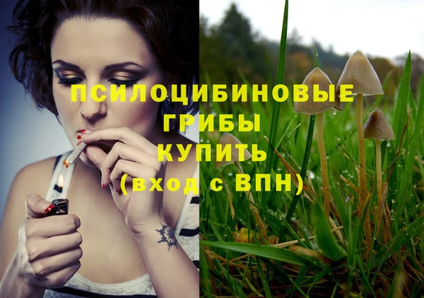 a pvp Арсеньев