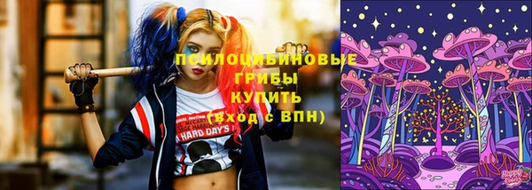 2c-b Армянск