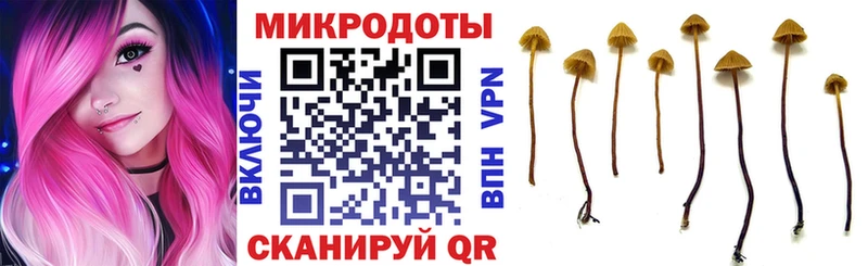 Галлюциногенные грибы мицелий  купить наркотик  Жигулёвск 